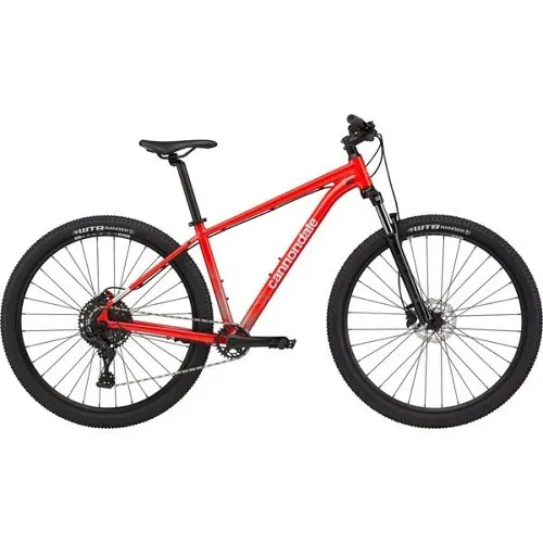 The 10 Best Bicycle Brands for All-Around Cycling 2 best bicycle brands