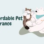 affordable pet insurance