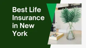 Best Life Insurance in New York