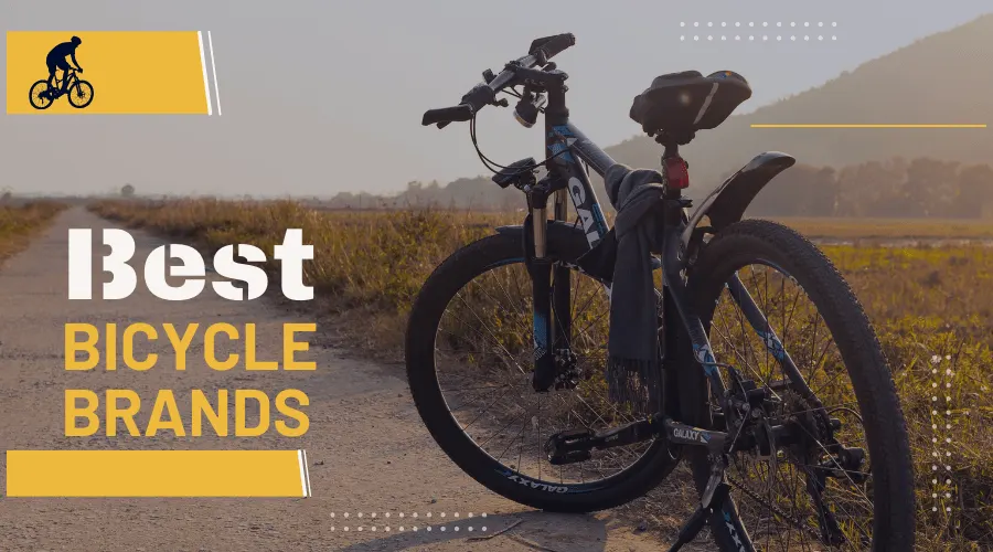 The 10 Best Bicycle Brands for All-Around Cycling 11 best bicycle brands