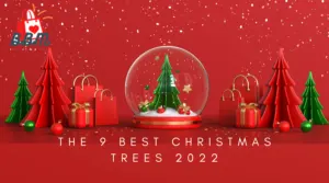 best Christmas trees