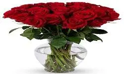 Benchmark Bouquets 2 Dozen Red Roses With Vase